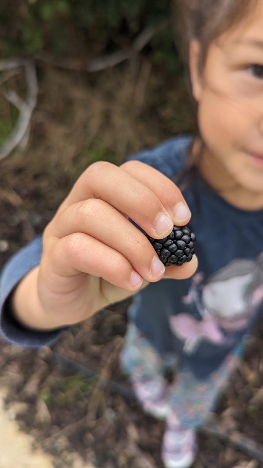 Blackberry Ginger Beef